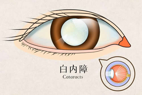 caa1ccf67e58bf6186cc812a8ef5c3d3_1737604051999030.jpg